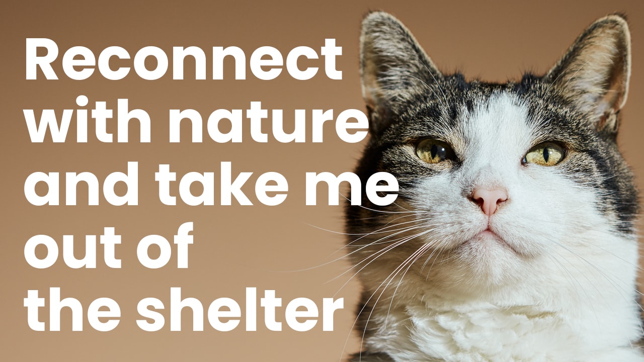 Reconnect with nature and take me out of the shelter