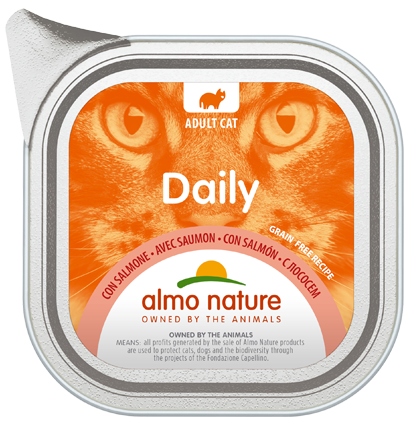 DAILY CATS 32X100 G WITH SALMON